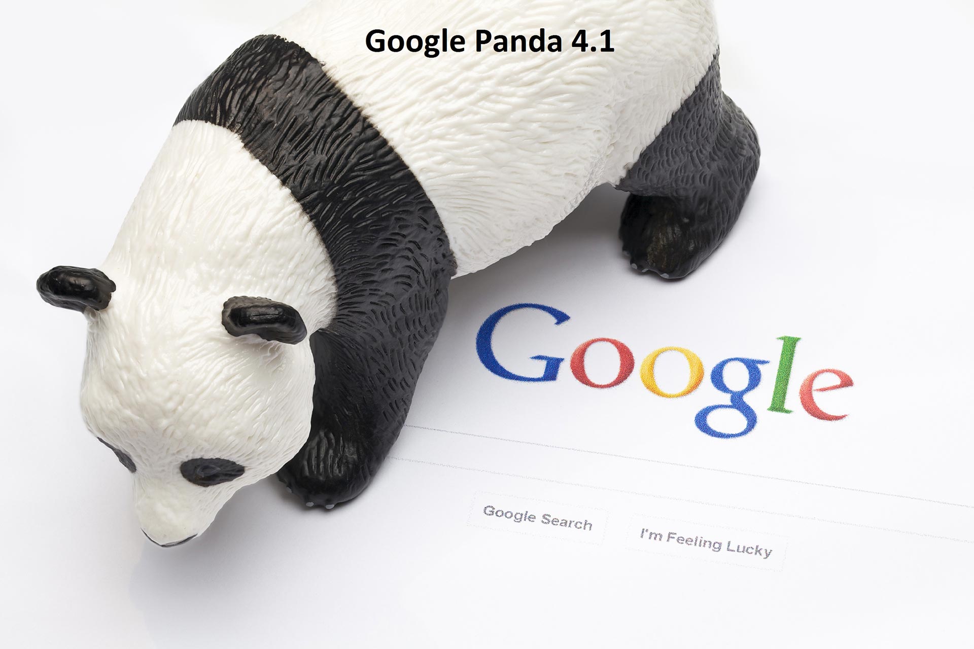 Panda 4.1 : un nouvel algorithme pour Google