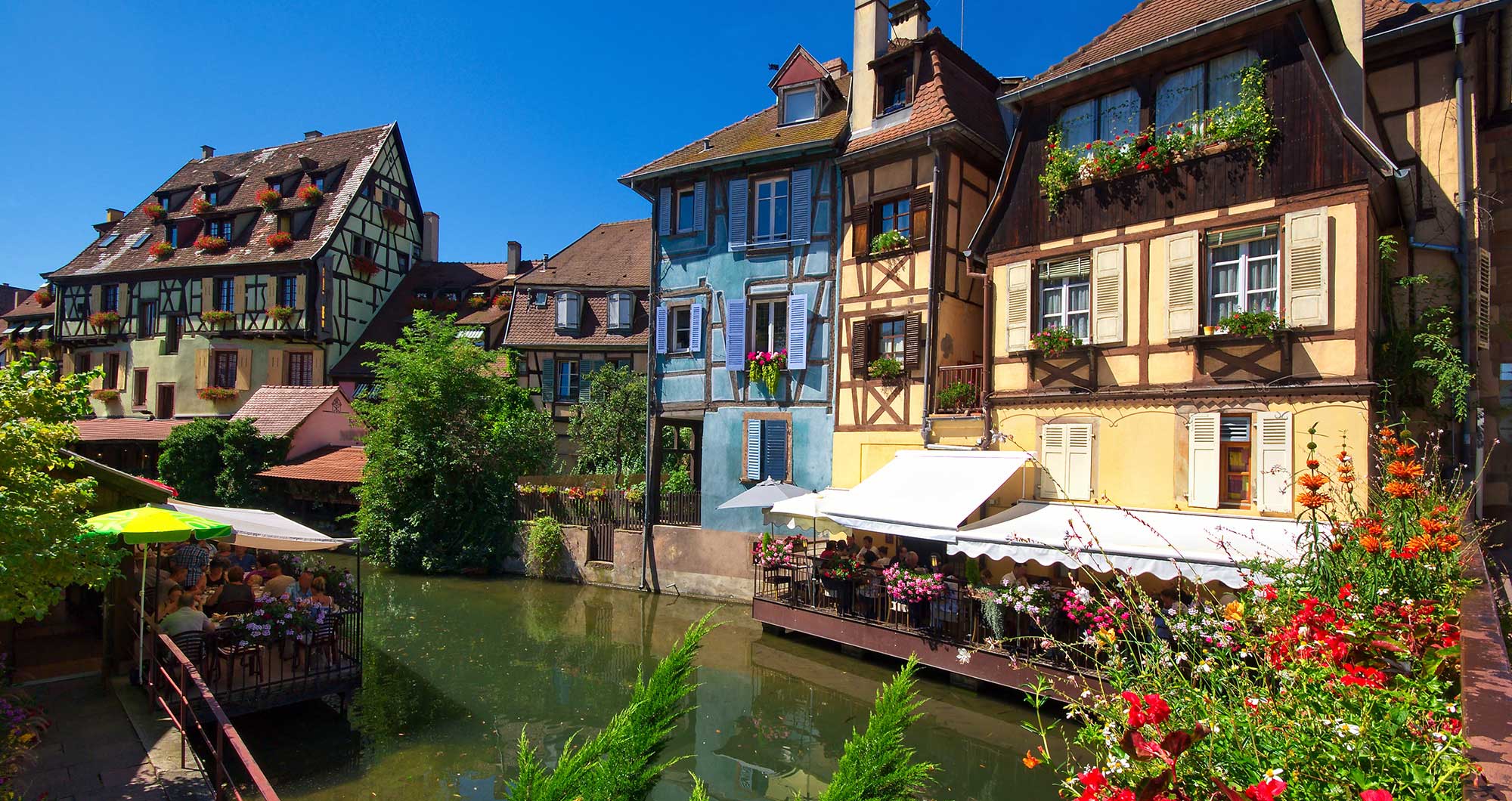 Meosis : partenaire de la marque Alsace